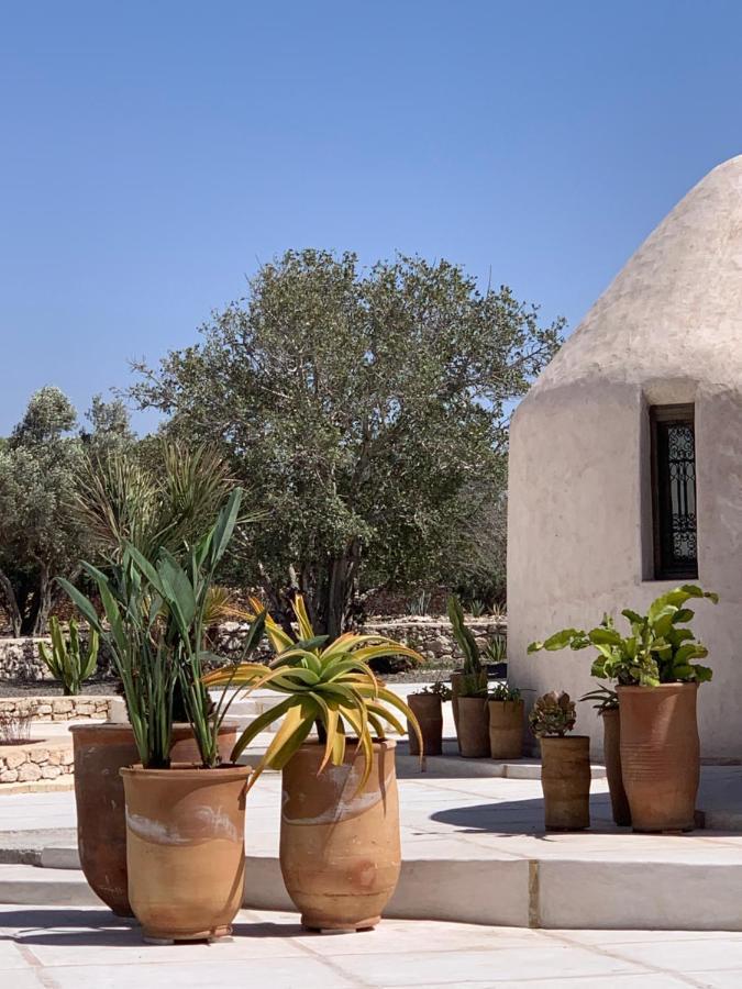 Les Jardins De Villa Maroc 에사우이라 외부 사진